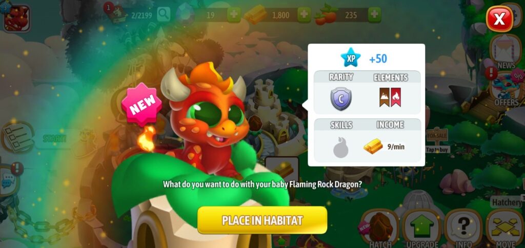 Home 12 breed 1